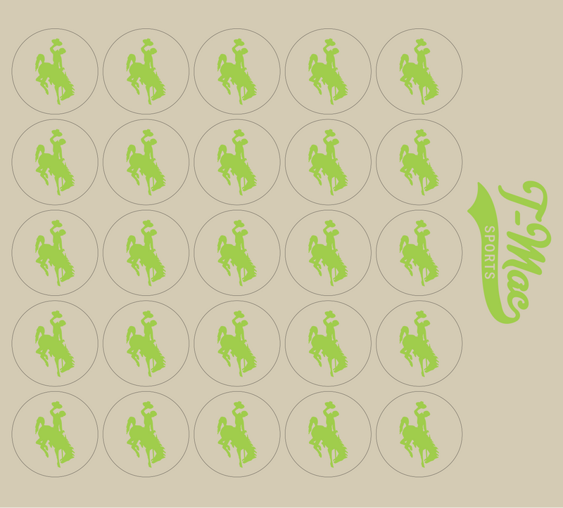 Bronco Award Decals