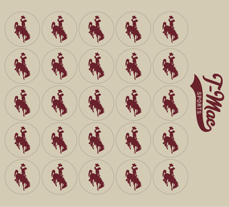 Bronco Award Decals
