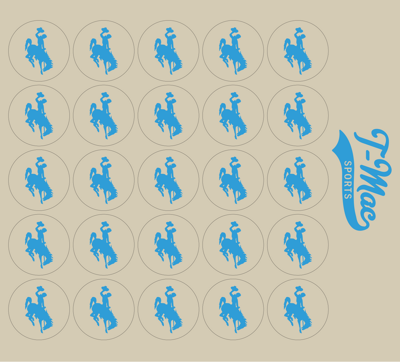 Bronco Award Decals