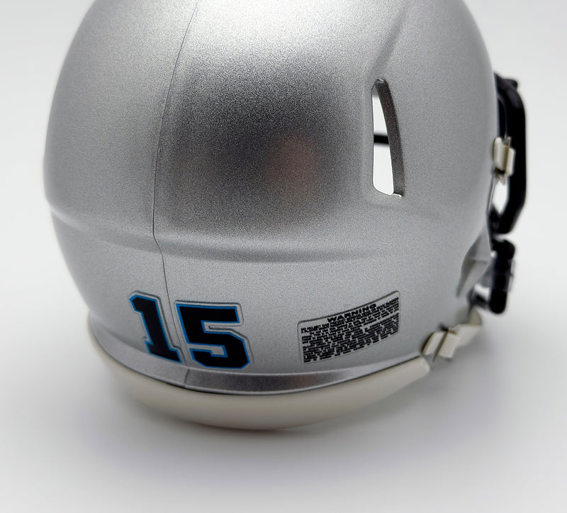 Panthers Mini Football Helmet Numbers — T-Mac Sports