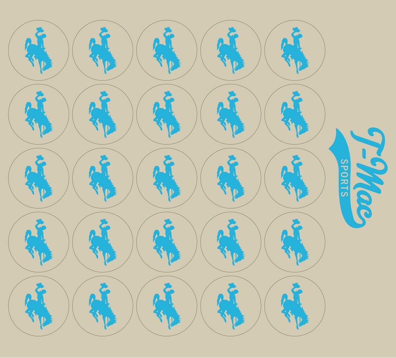 Bronco Award Decals