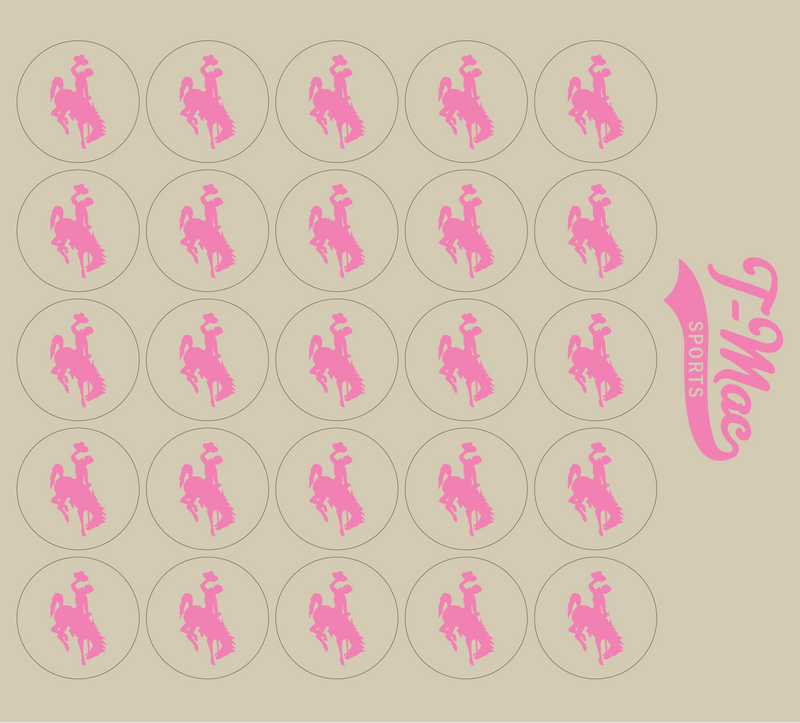Bronco Award Decals