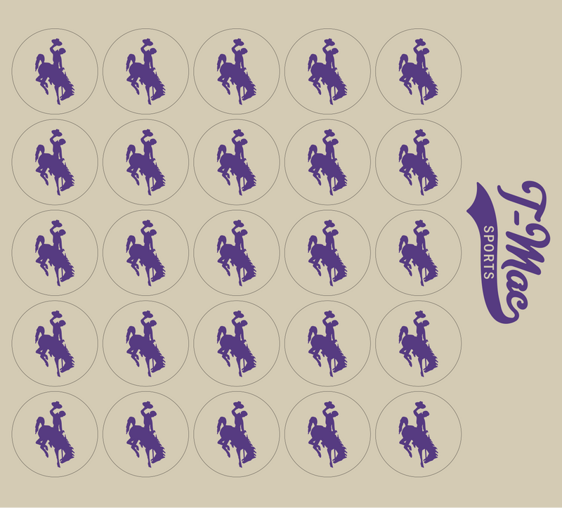 Bronco Award Decals