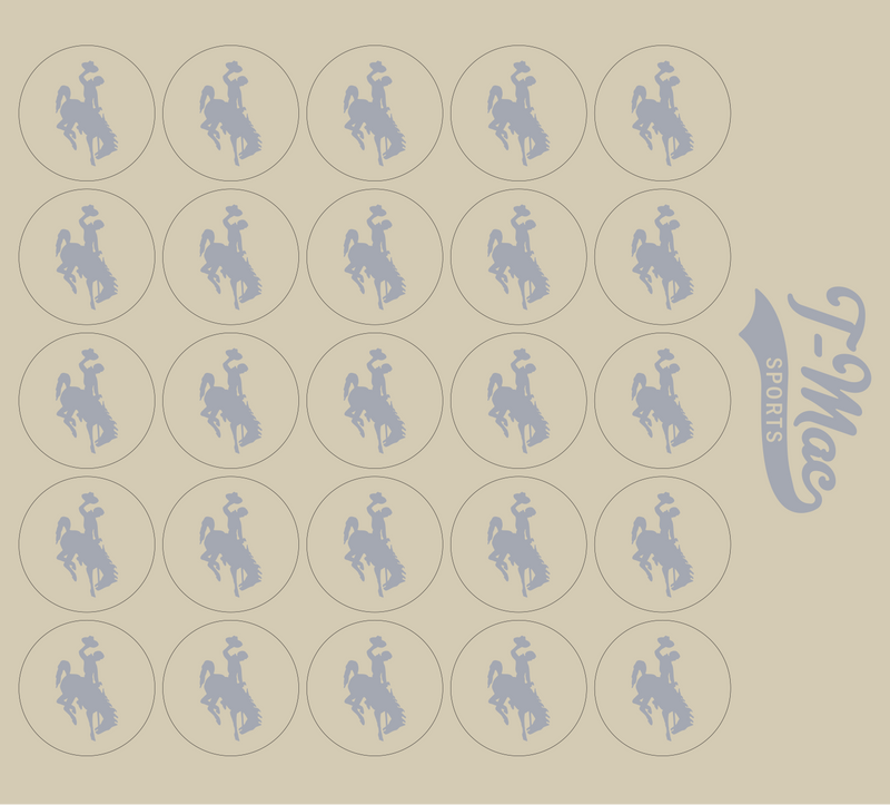 Bronco Award Decals
