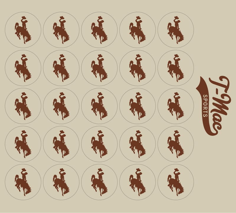 Bronco Award Decals