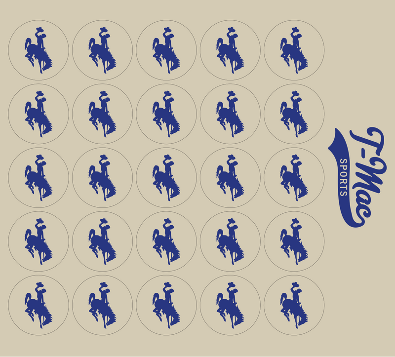 Bronco Award Decals