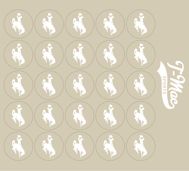 Bronco Award Decals