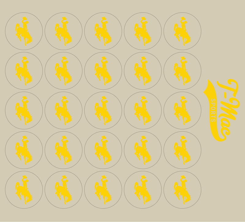 Bronco Award Decals