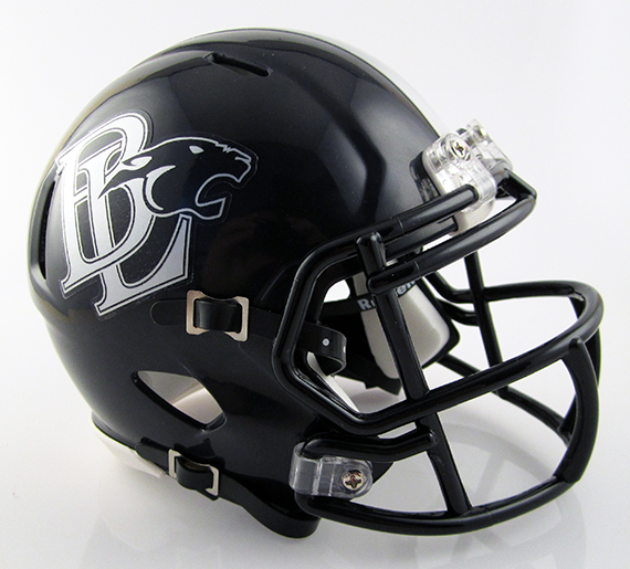 Buckeye Local (OH) (2015) High School Mini Football Helmet — T-Mac Sports