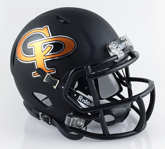 dover pa high school football helmet Dover (Alternate)