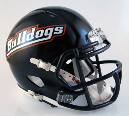 dull football helmet Dalton (OH) (2014) High School Mini Football Helmet — T-Mac Sports