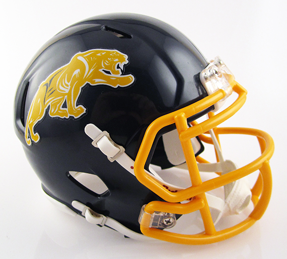 2018 nfl football helmets Euclid (OH) (2018) High School Mini Football Helmet — T-Mac Sports