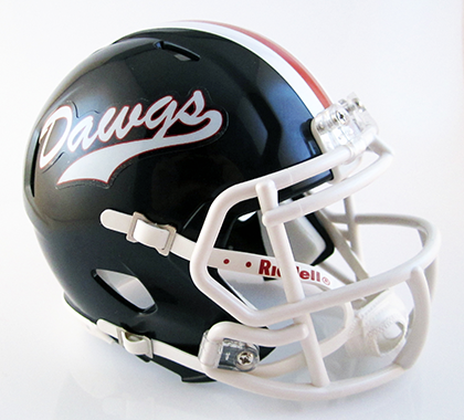 Grove City (2007), Mini Football Helmet - T-Mac Sports