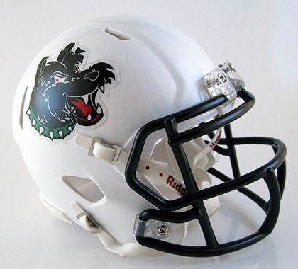 Helix, Mini Football Helmet - T-Mac Sports