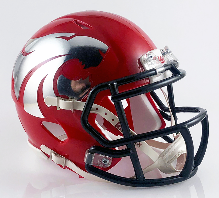 Mesquite Horn (TX) High School Mini Football Helmet — T-Mac Sports