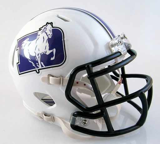 St. Francis DeSales (Columbus) (2012), Mini Football Helmet - T-Mac Sports