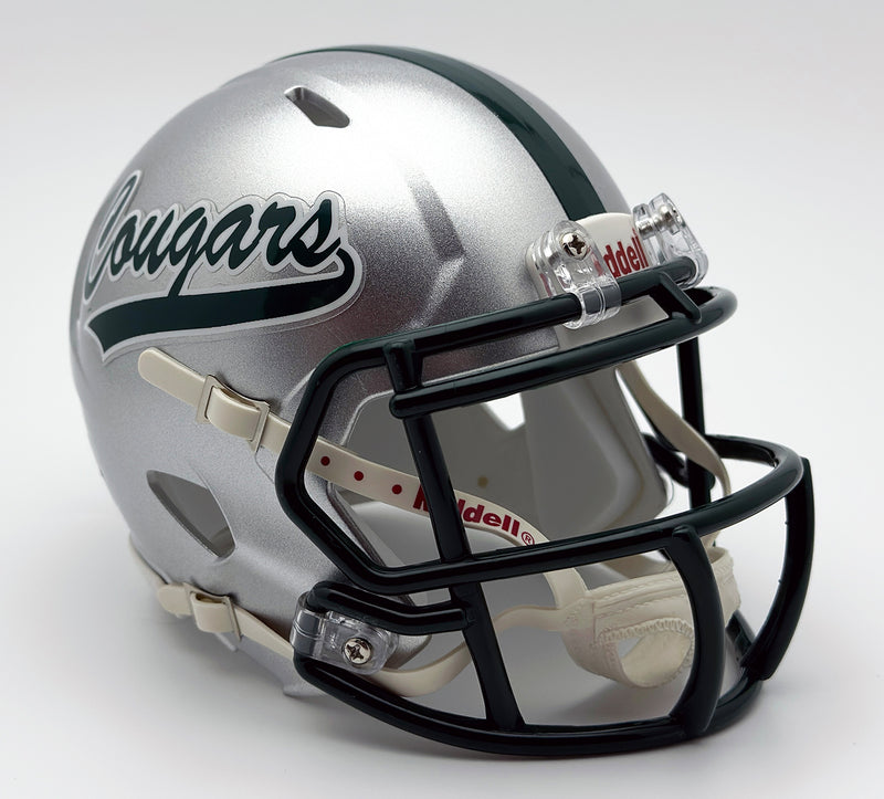 Lake Catholic (OH) (2019) High School Mini Football Helmet