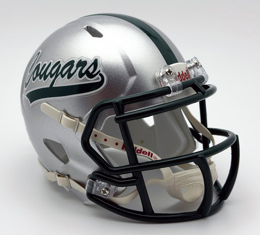 Lake Catholic (OH) (2019) High School Mini Football Helmet